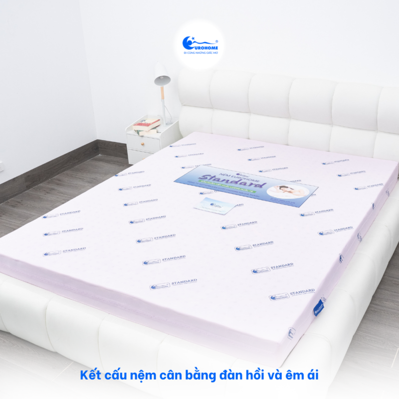 NỆM EUROHOME STANDARD