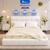 nệm CSN asian-mô phỏng độ đàn hổi CSTN