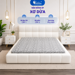 NỆM XƠ DỪA COCOEURO