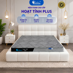 NỆM HOẠT TÍNH PLUS