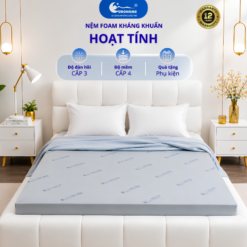 nệm hoạt tính kháng khuẩn EUROHOME