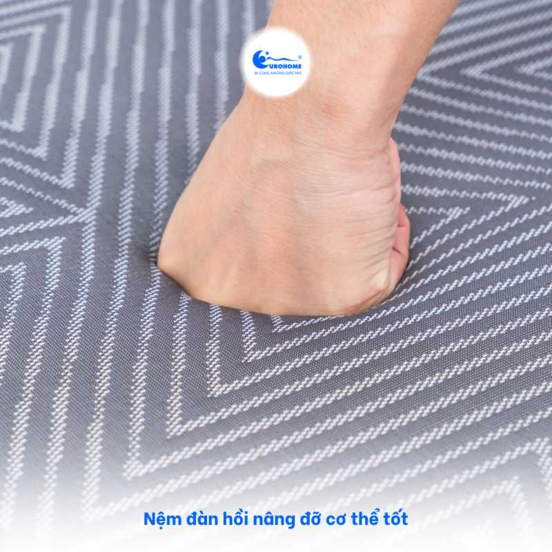 NỆM EUROHOME COMFORT