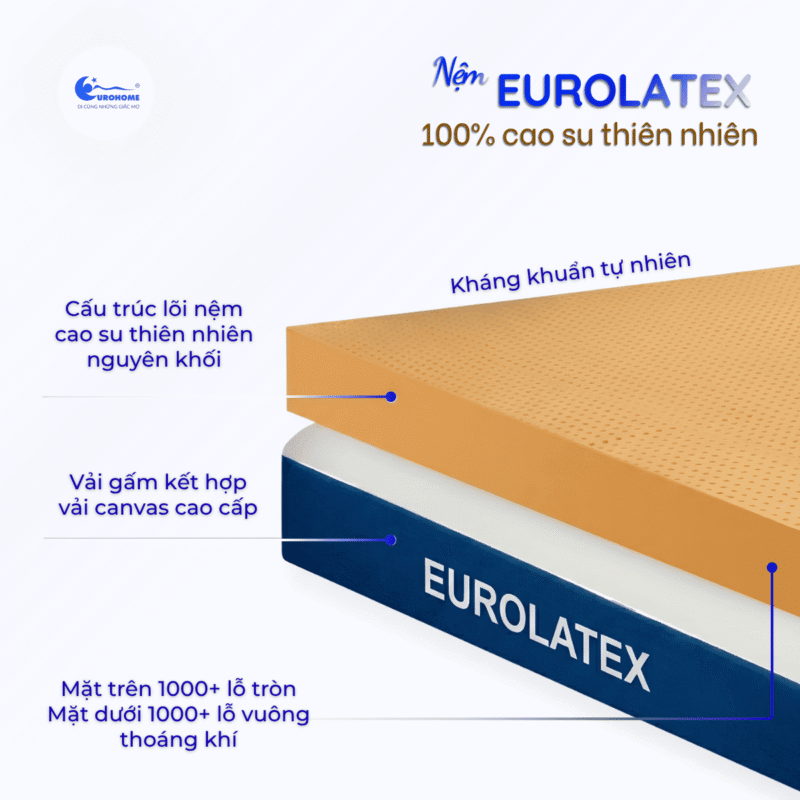 Nệm CSTN Eurolatex