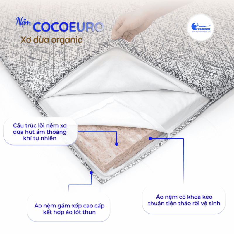 Nệm xơ dừa Eurohome Cocoeuro