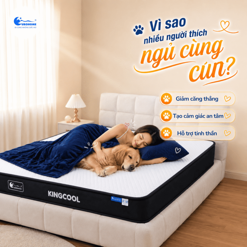 Vì sao nhiều người thích ngủ cùng cún