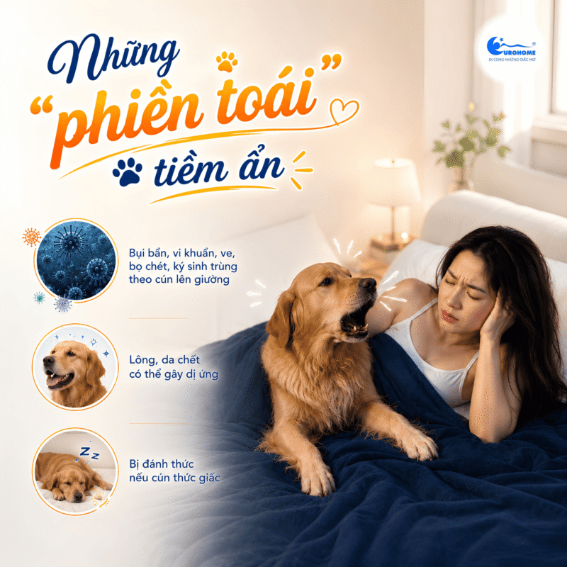 Những phiền toái tiềm ẩn khi ngủ cùng cún!